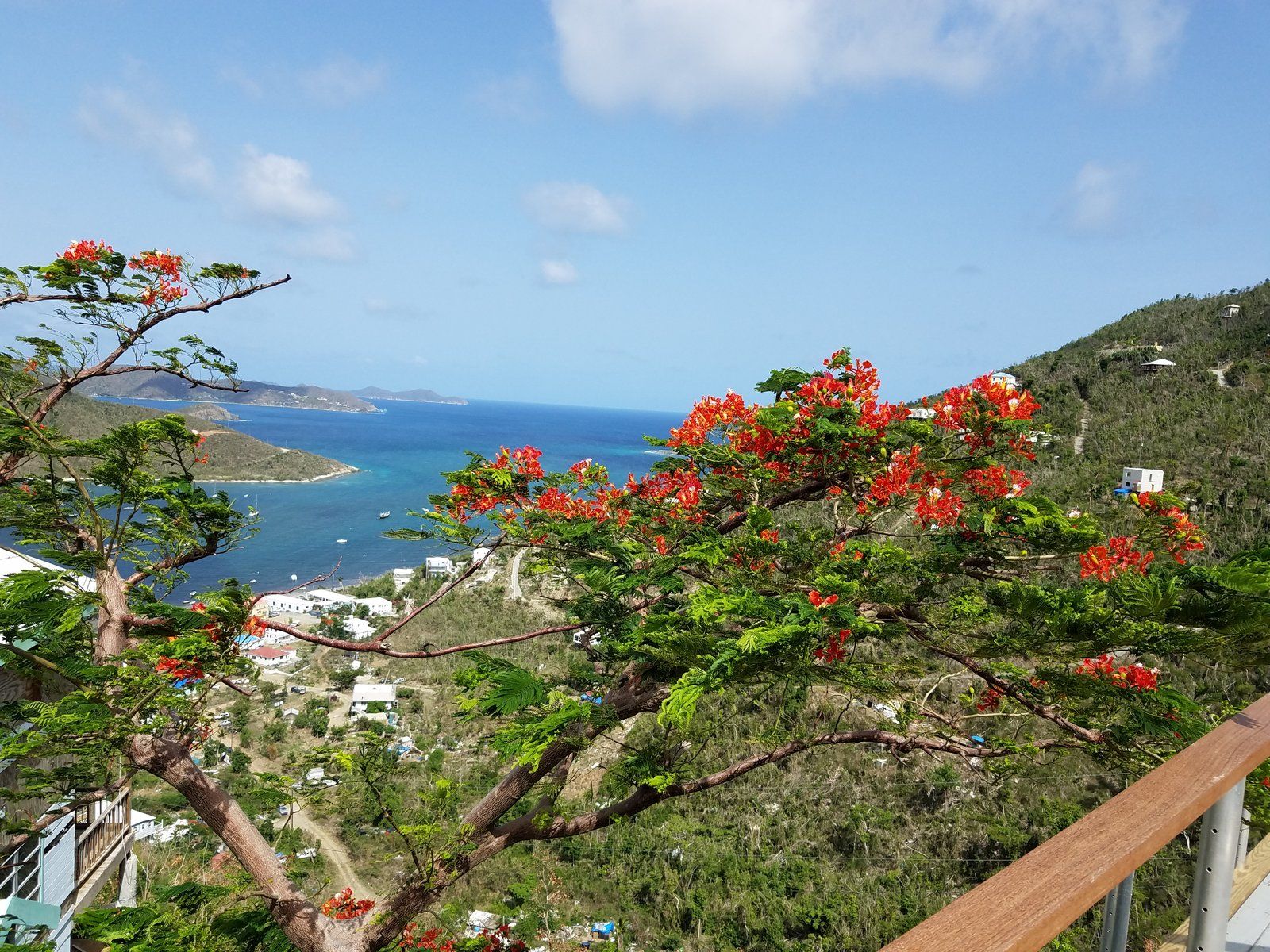 Brisas Del Mar — photo 19