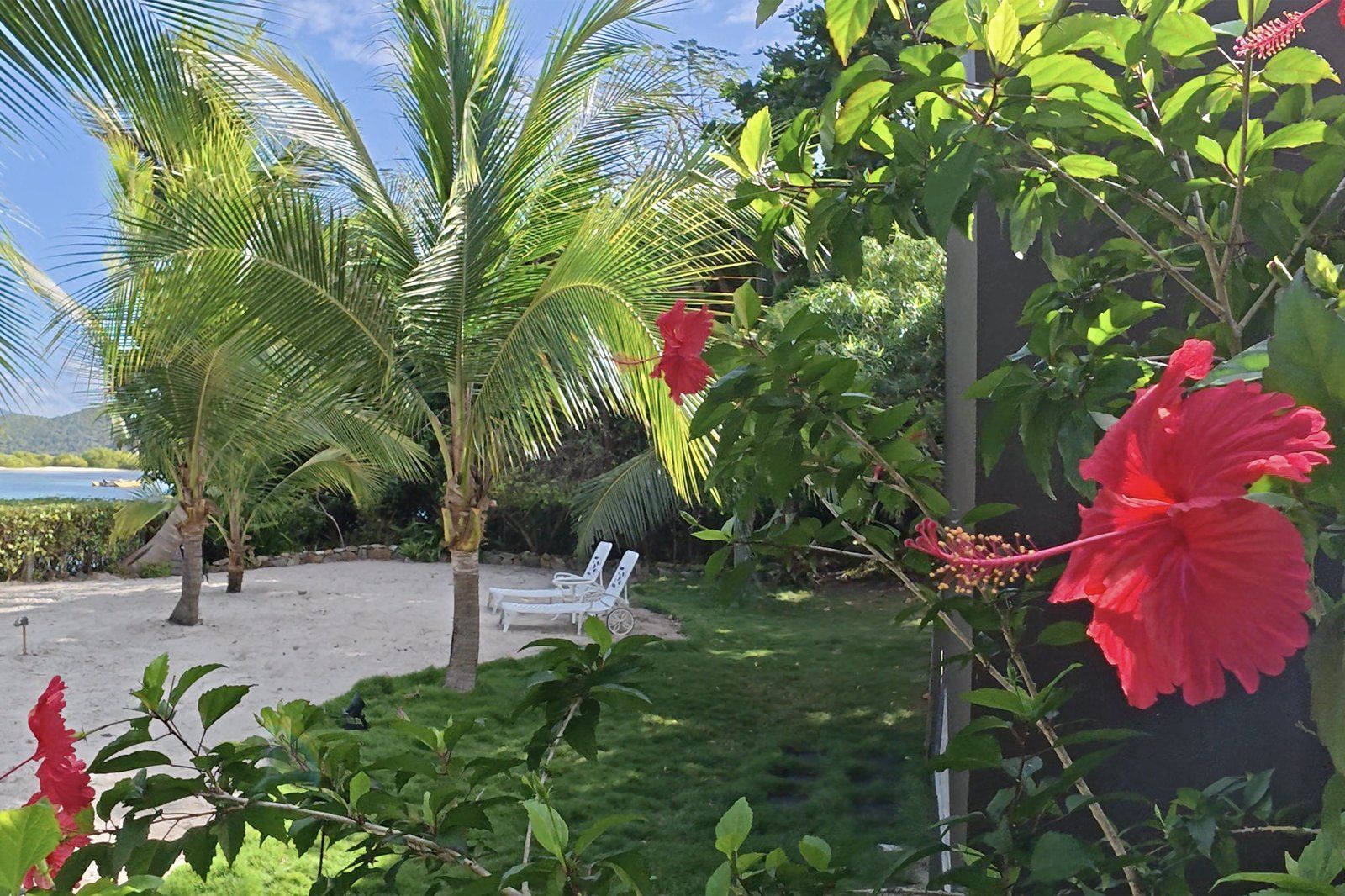 Calypso by the Sea — photo 26