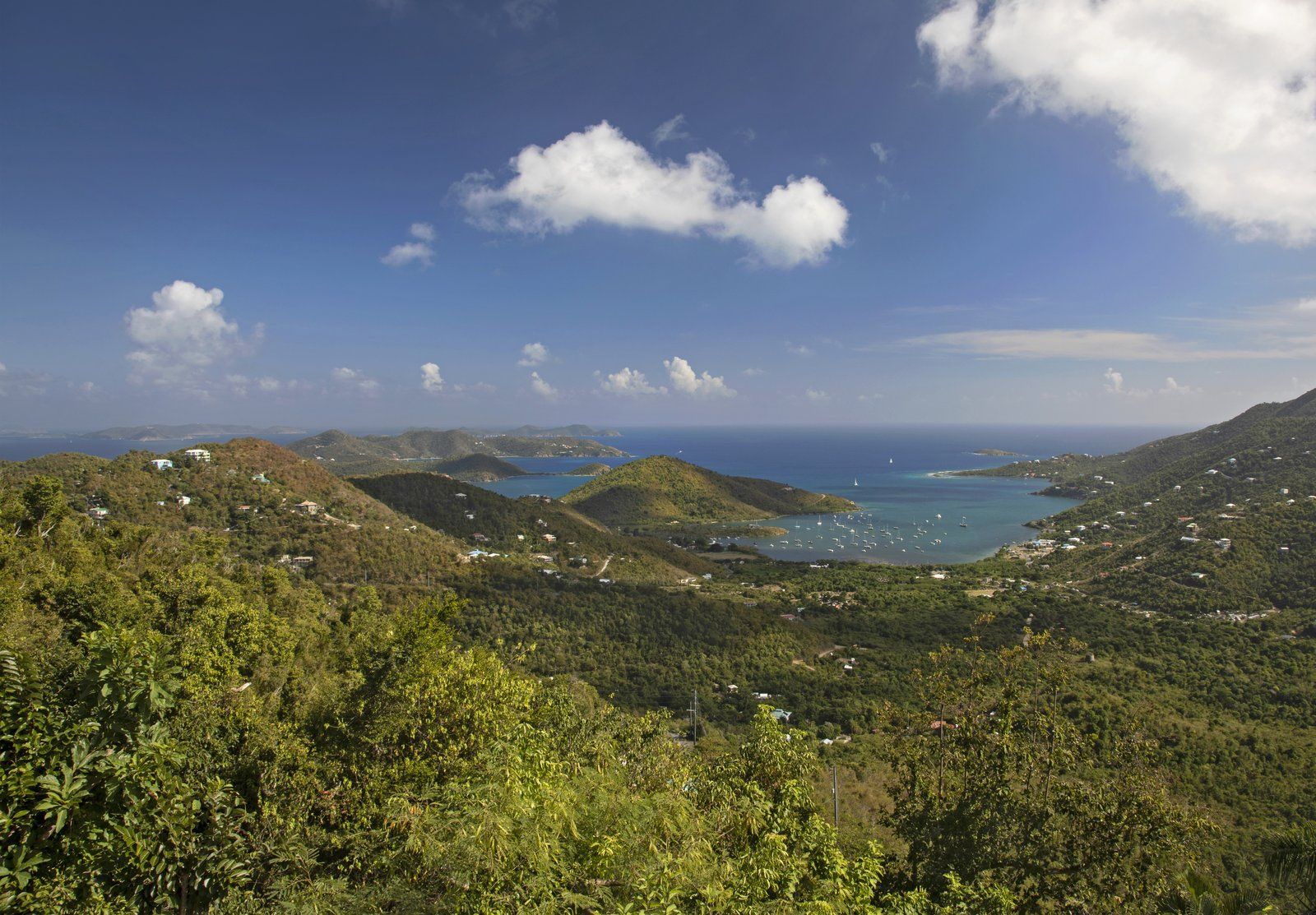 Caribbean Jewels — photo 23