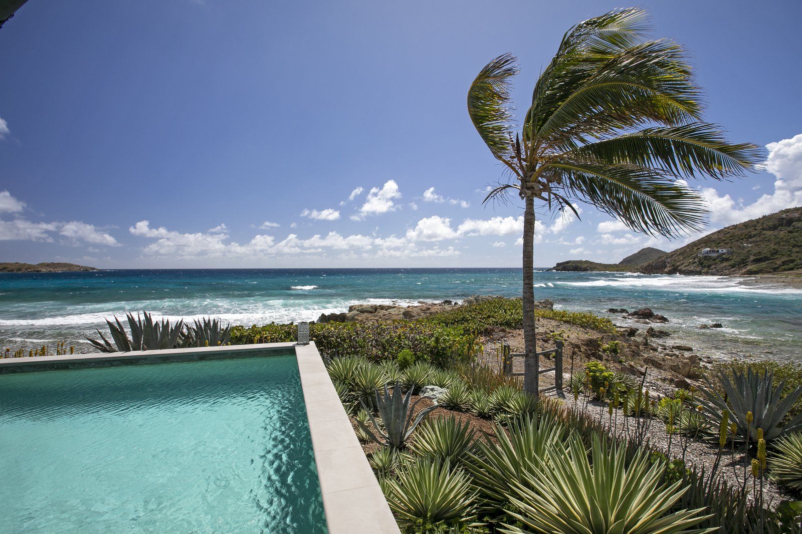 Coral Cove — photo 20