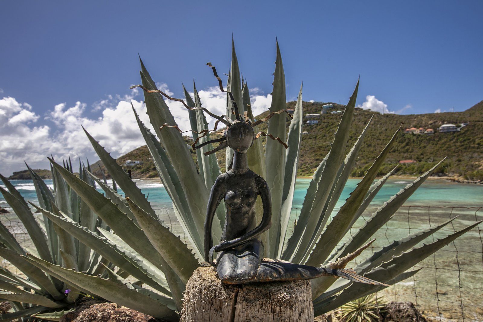 Coral Cove — photo 36