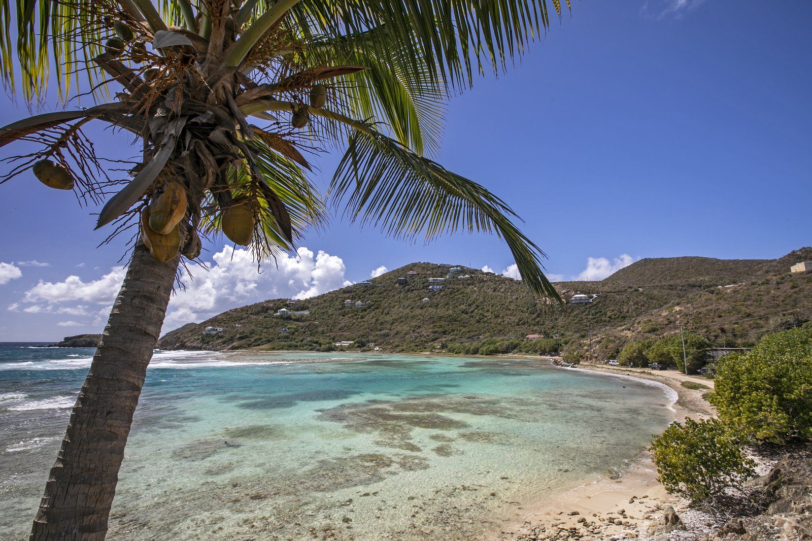 Coral Cove — photo 44