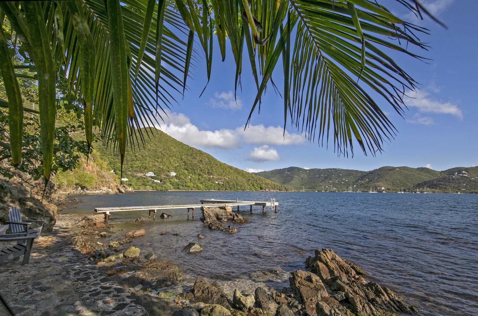 Coral Point — photo 44