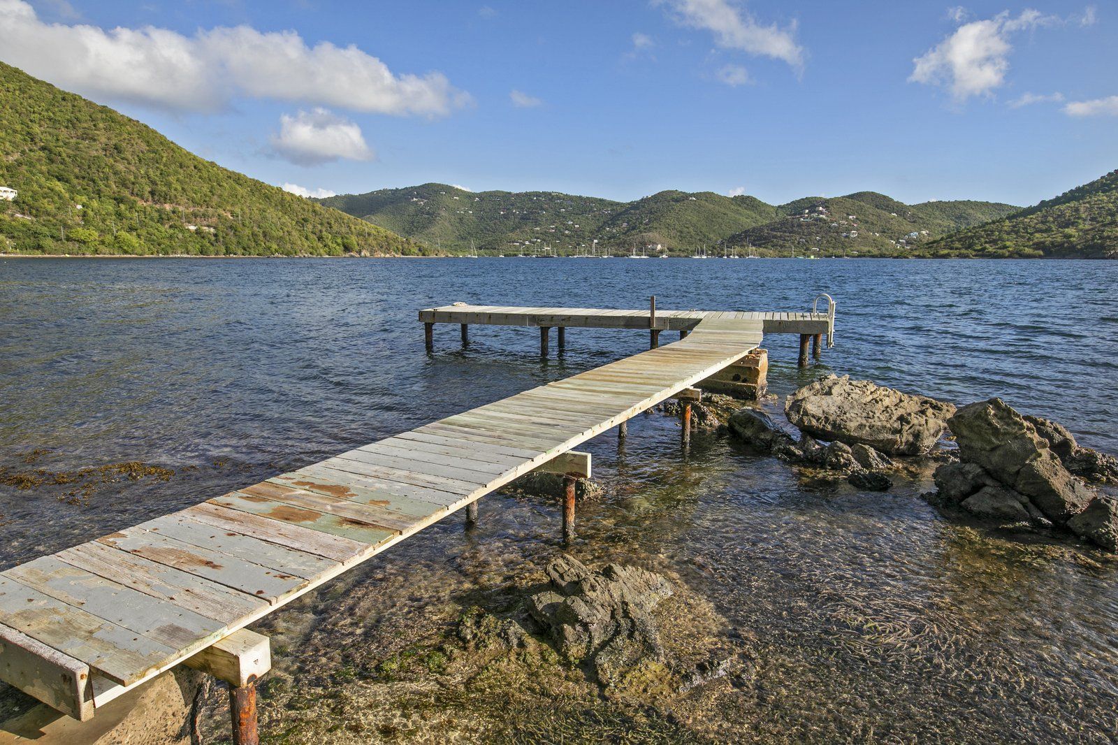 Coral Point — photo 45