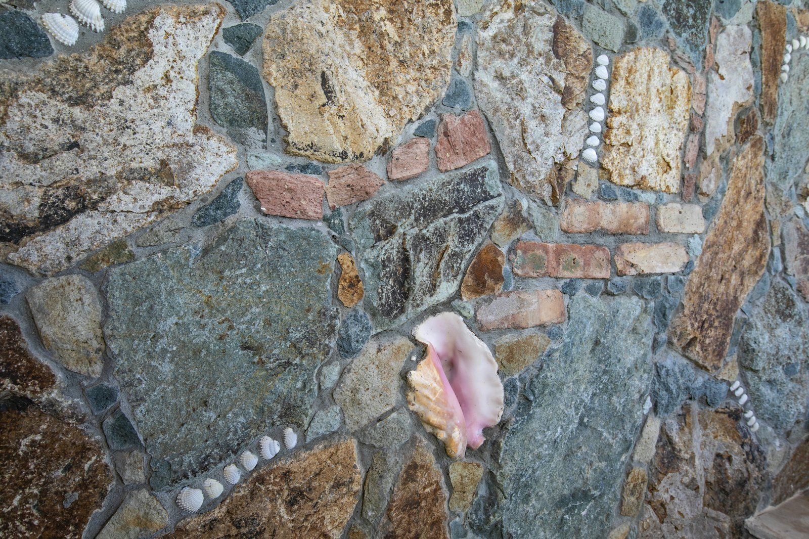 Coral Point — photo 46