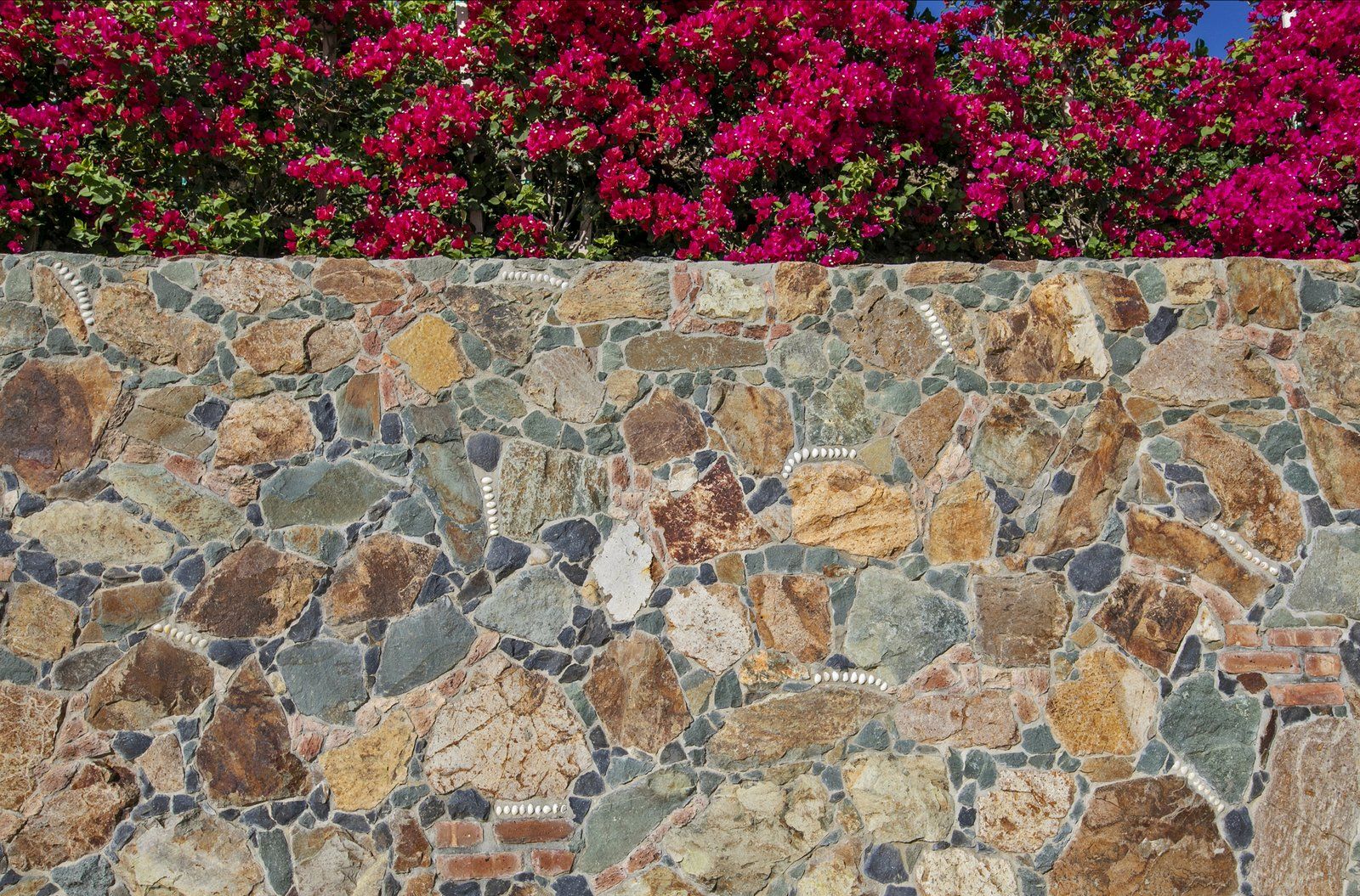 Coral Point — photo 47