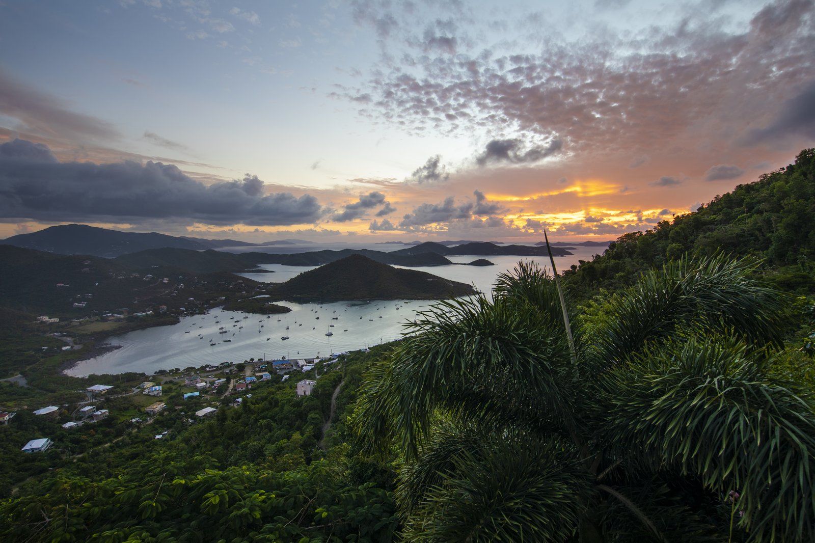 Island Horizons — photo 37